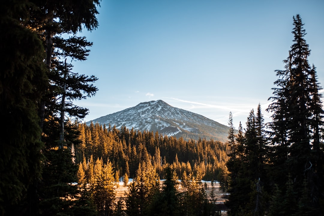 Aerial view of Bend, Oregon
