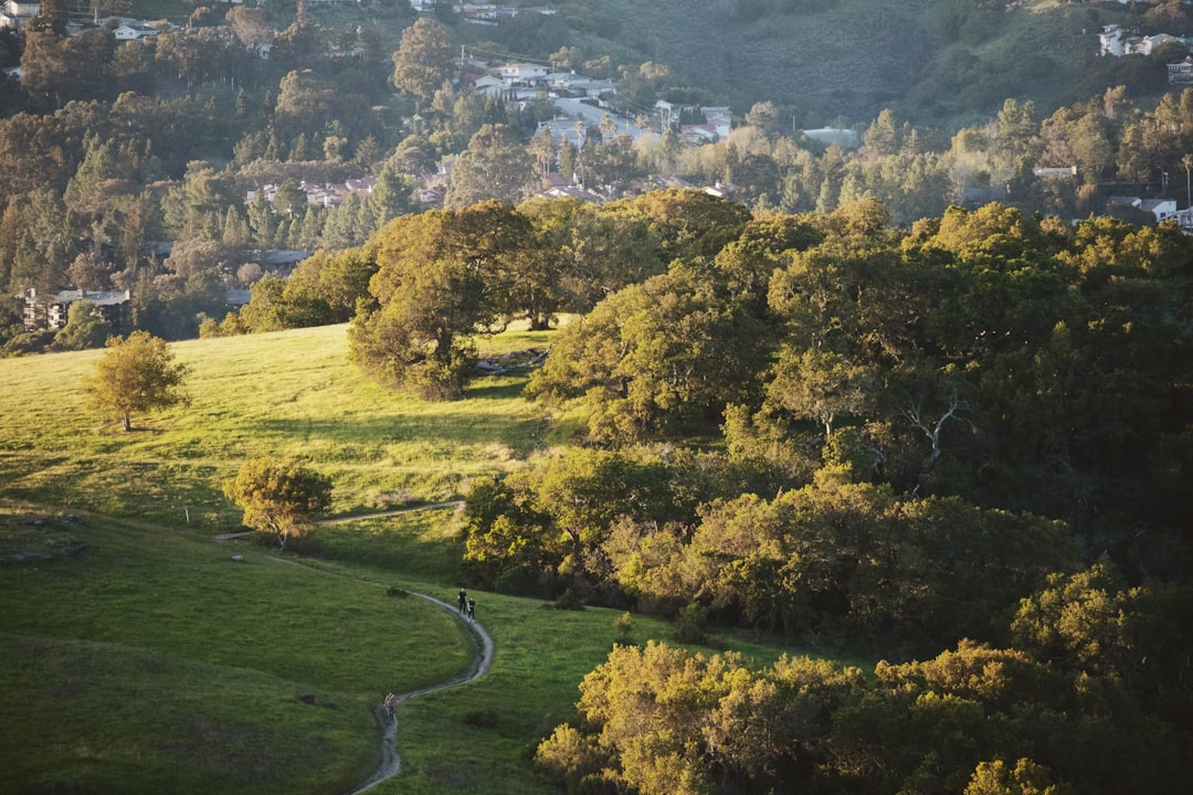 Aerial view of Redwood City, California