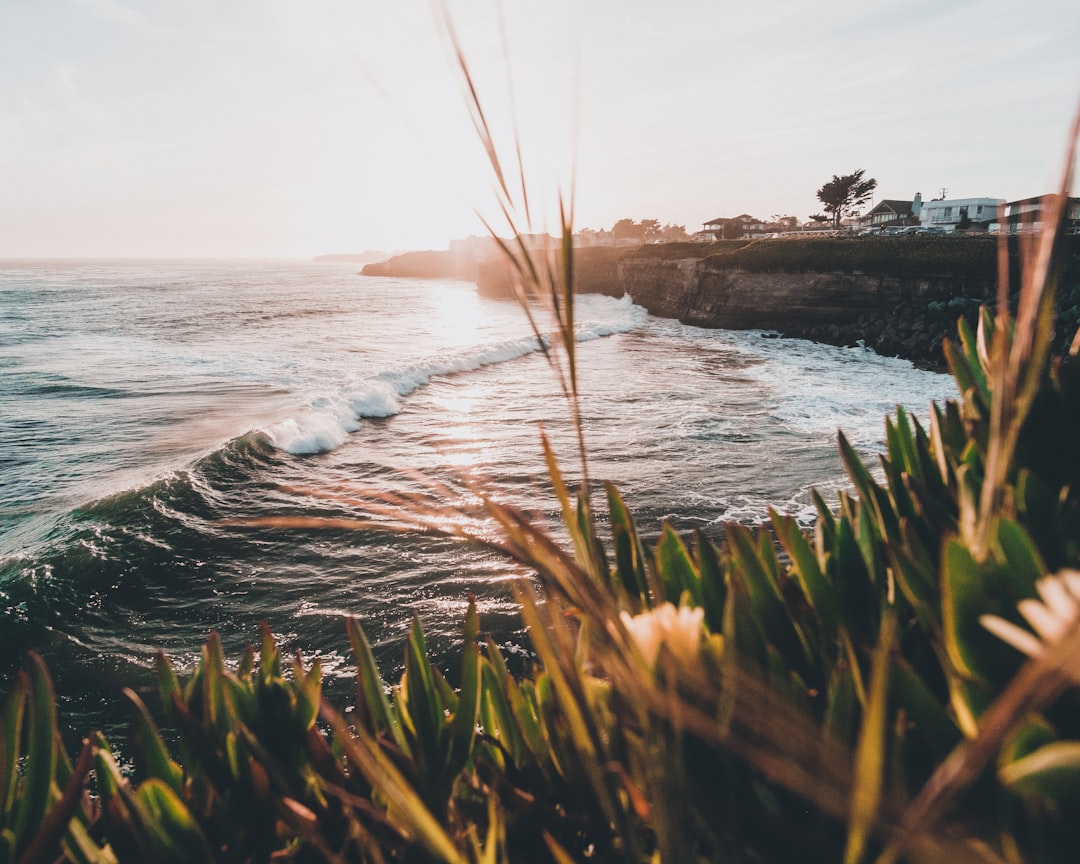 Aerial view of Santa Cruz, California