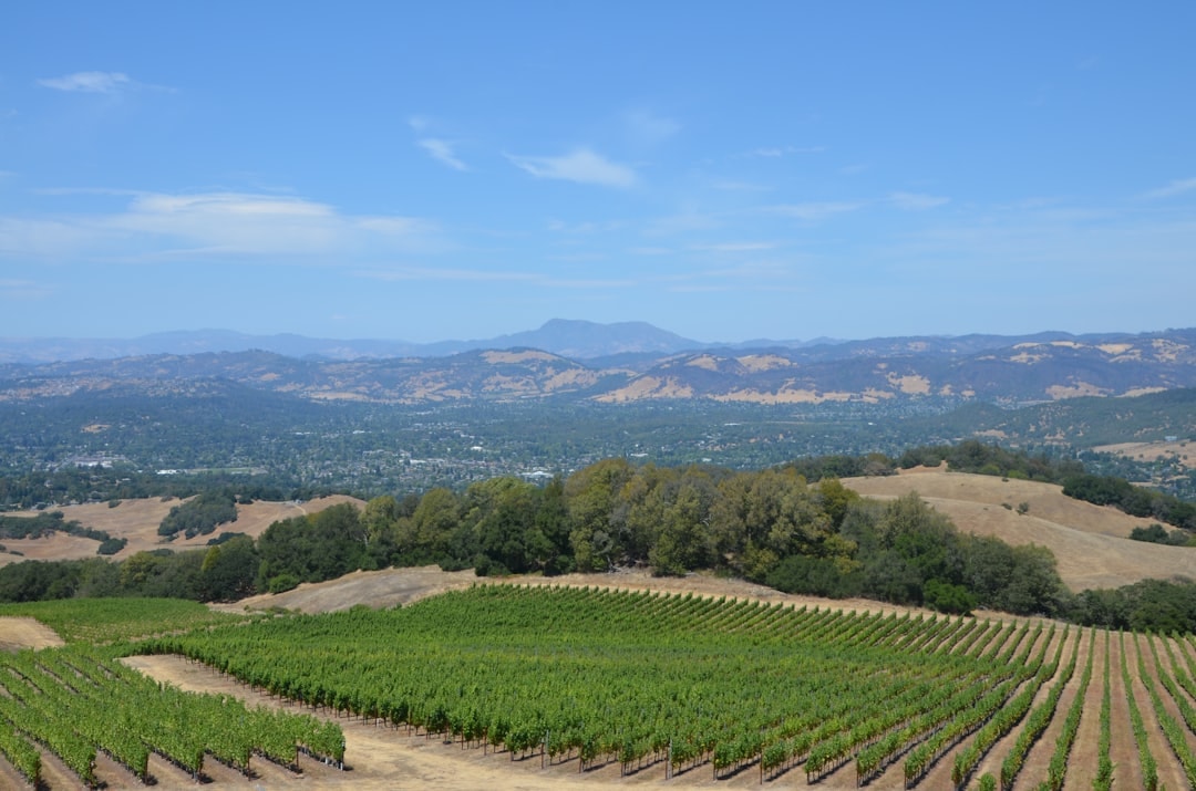 Aerial view of Santa Rosa, California