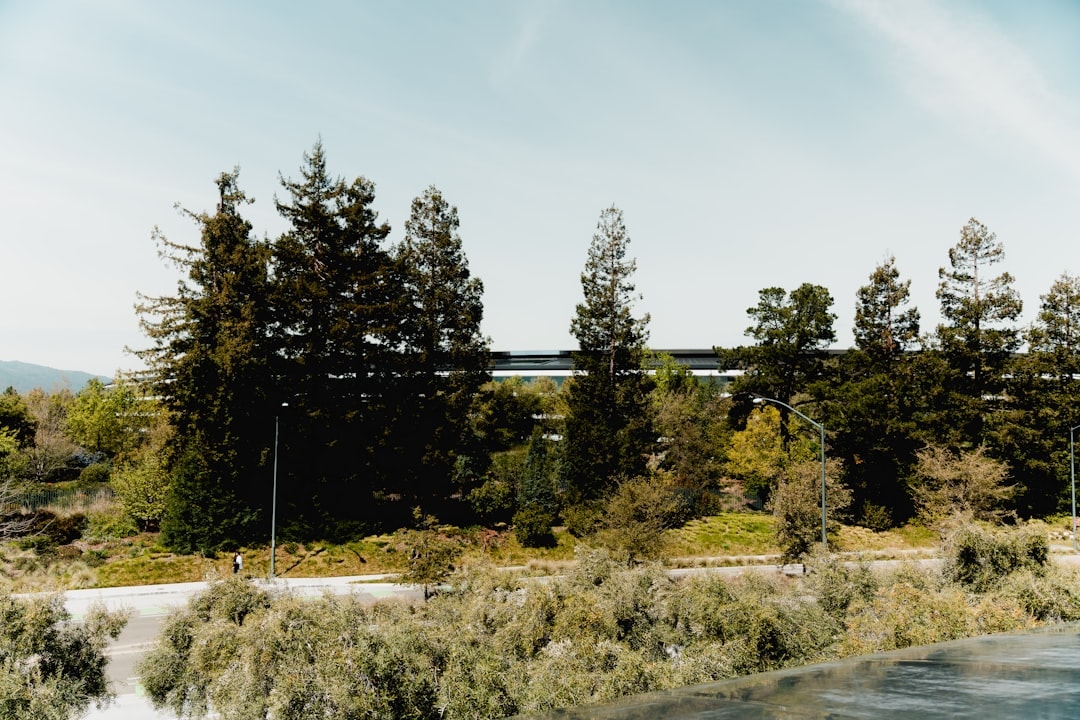 Aerial view of Cupertino, California