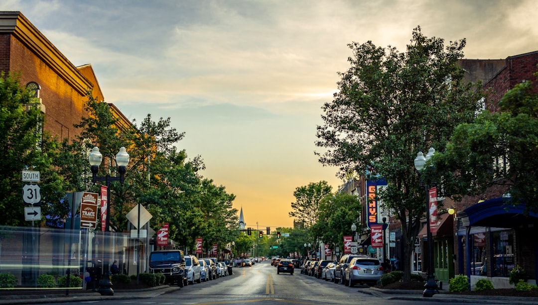 Aerial view of Franklin, Tennessee